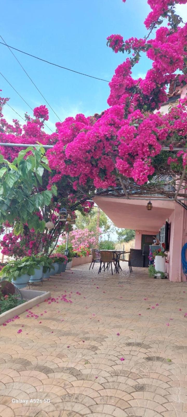Βίλα Πασιθέα Kiveri Exterior photo
